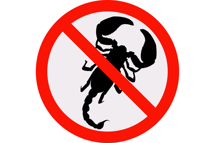 Dedetização de escorpiões